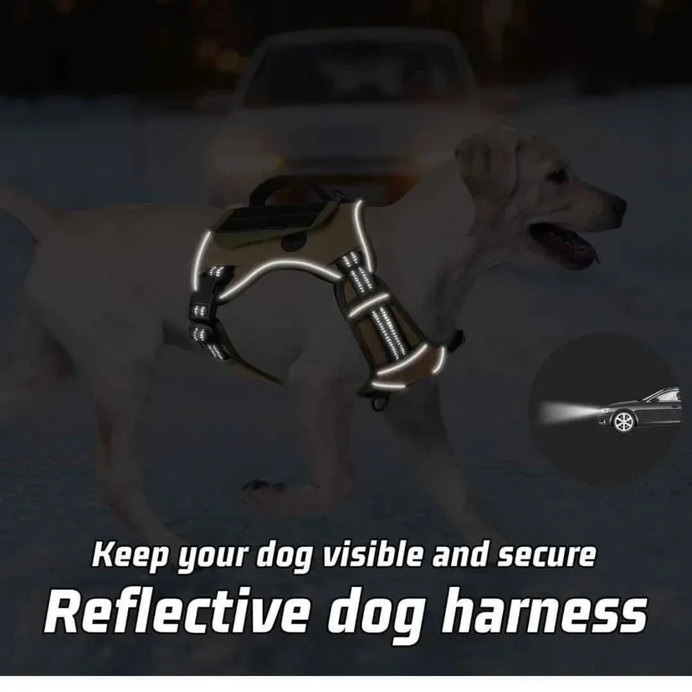 Dog Small tactical harness